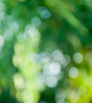Blur green background Stock Photos