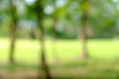 Blur green background Stock Photos