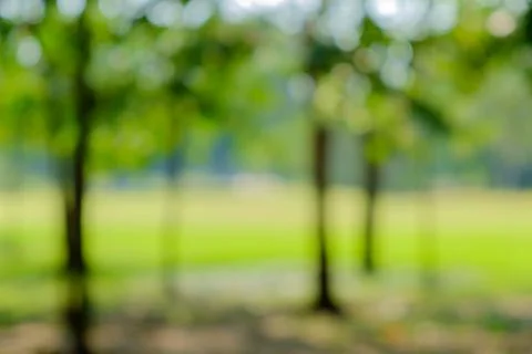 Blur green background Stock Photos