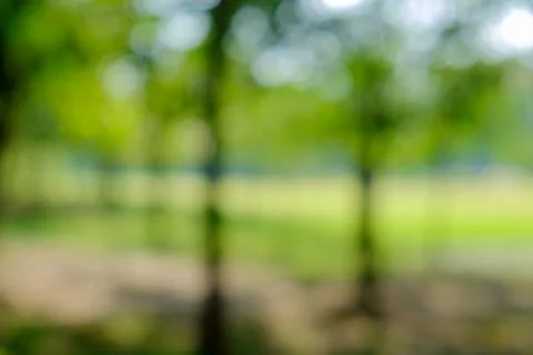 Blur green background Stock Photos