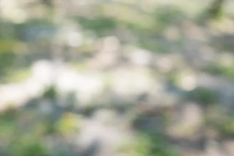 Blur green background Stock Photos