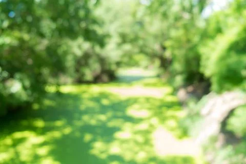 Blur green background Stock Photos