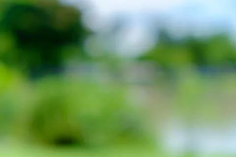 Blur green background Stock Photos