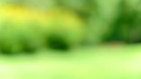 Blur green background Stock Photos