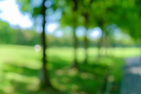 Blur green background Foto stock