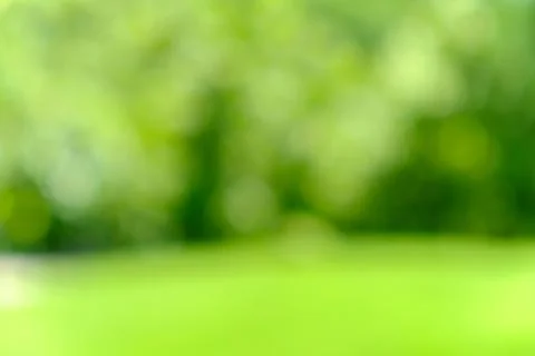 Blur green background Stock Photos