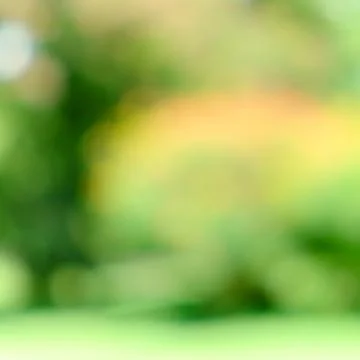 Blur green background Stock Photos
