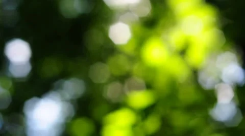 Blur green Stock Footage 8569716