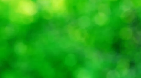 Blur green Stock Footage 25448815