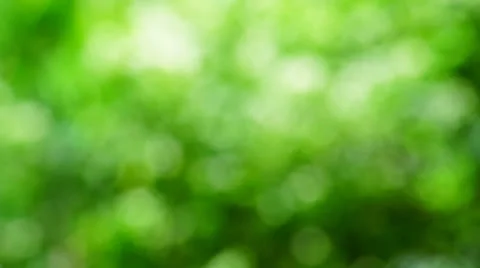 Blur green Stock Footage 25449394