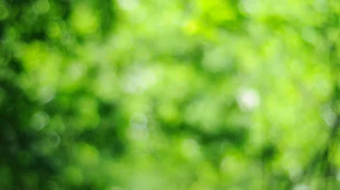Blur green Stock Footage 25449696