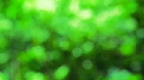 Blur green Stock Footage 25449912
