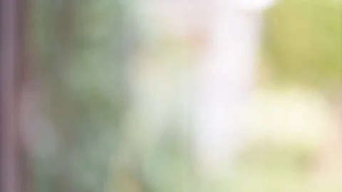 Blur green nature. 스톡 동영상 128472584
