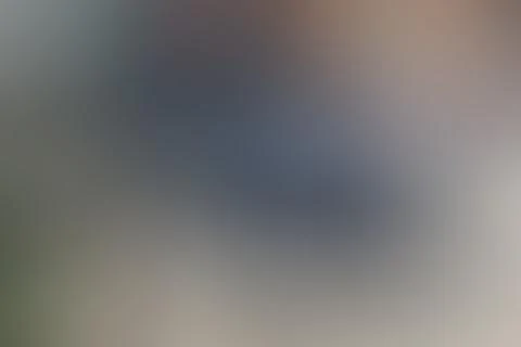 BLUR GREY GRADIENT GREY WHITE BACKGROUND Stock Illustration