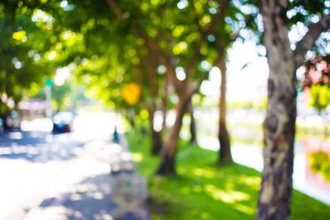 Blur image of Abstract Bokeh of tree green color background. Stock Photos