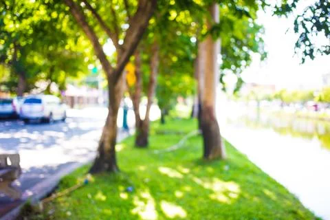 Blur image of Abstract Bokeh of tree green color background. Stock Photos
