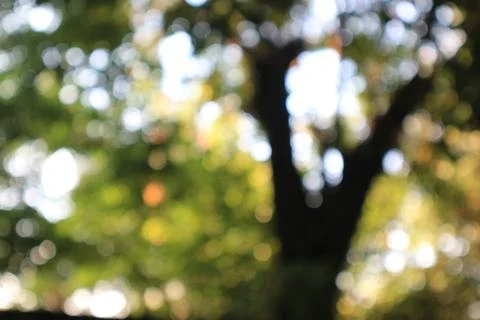 Blur Image Background behind the house Stock Photos