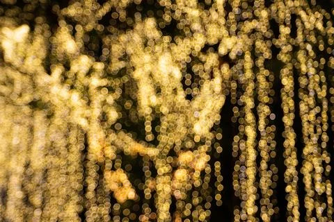 Blur Image Decorative outdoor string lights hanging on tree in the garden Stock Photos