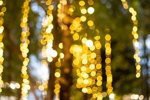 Blur Image Decorative outdoor string lights hanging on tree in the garden Photos
