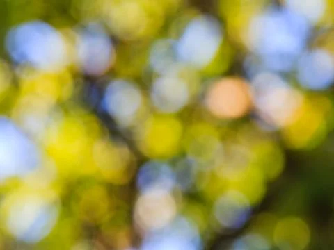 Blur image of tree Stock Photos