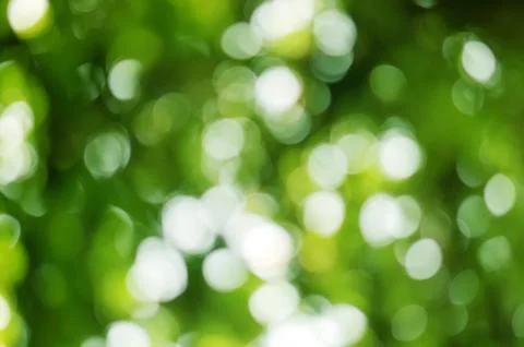 Blur leaves Stock Photos