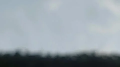 Blur Leaves under Sky 動画素材 307602808