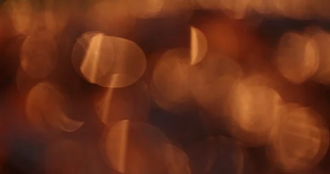 Blur lights at water Stock Footage 320438831