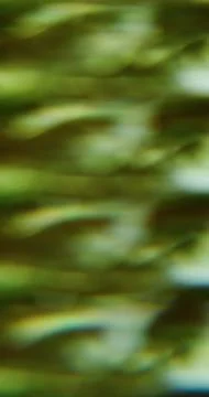 Blur line leak prism effect glow striping art ray Stock Photos