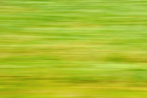 Blur lines Stock Illustration