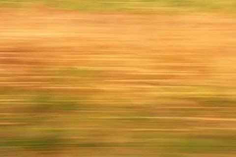 Blur lines Stock Photos