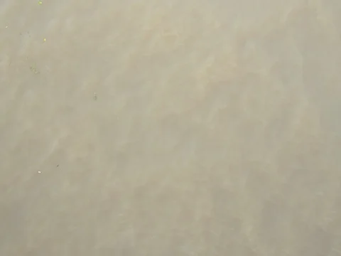 Blur moving focus of brown water river Stock Footage 80760538