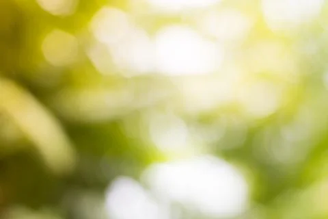 Blur nature background texture for Element of design Stock Photos