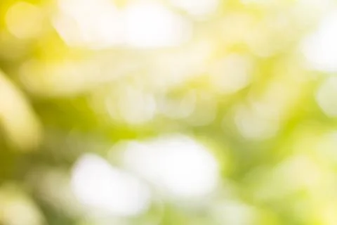 Blur nature background texture for Element of design Stock Photos