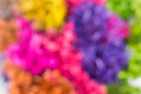 Blur or Defocus image background of dried grasses dyeing. Stock Photos