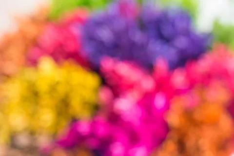 Blur or Defocus image background of dried grasses dyeing. Stock Photos