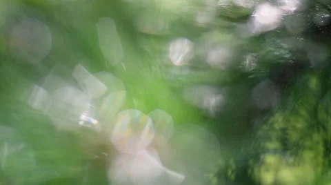 Blur panoramic view of forest scene with flaring and sparkling drops of water Stock Footage 54081277
