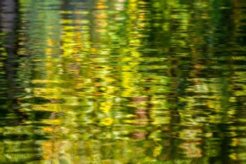 Blur reflection Stock Photos
