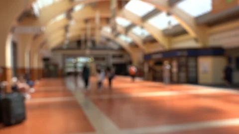 Blur Slow motion video of People passing through Railway Station 動画素材 124343620