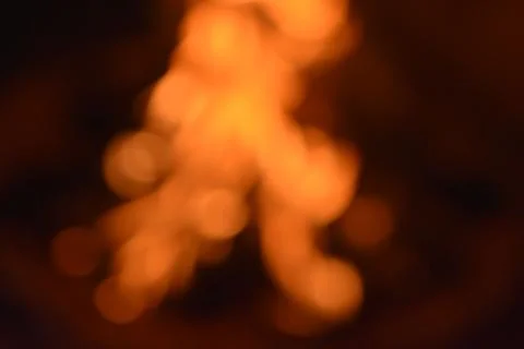 Blur snap of Flem Stock Photos