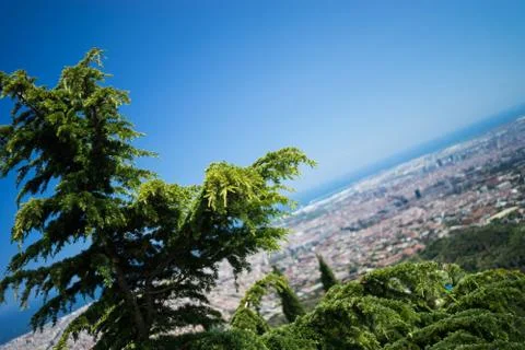 Blur tree over Barca Stock Photos
