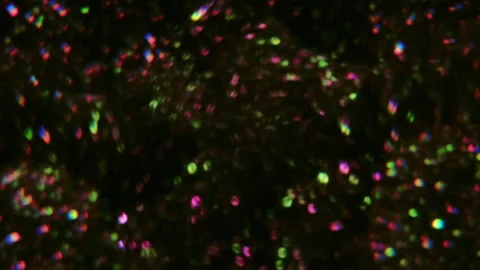 Blur twinkle disco glow light illuminated optical 動画素材 341822453