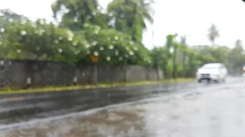 Blur video of heavy rain Vidéo 226183548