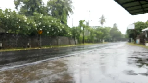 Blur video of rain Vidéo 226182636
