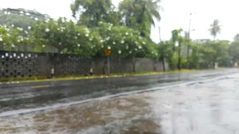 Blur video of the rain. Vidéo 226183559