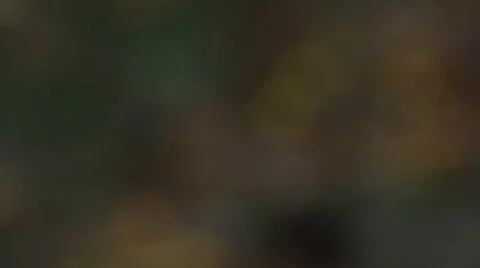 Blur to Water Stock Footage 41667382