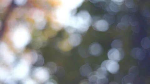 Blured background with bokeh lens Stock Footage 148644129