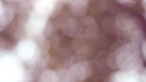 Blured background with bokeh lens Video stock 148644398