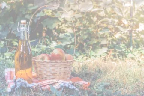 Blured background. A bottle of fresh apple cider near the autumn apples. Autu Stock Photos