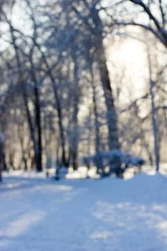 Blured background of winter park or forest. Stock Photos