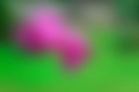 Blured bush background Stock Photos